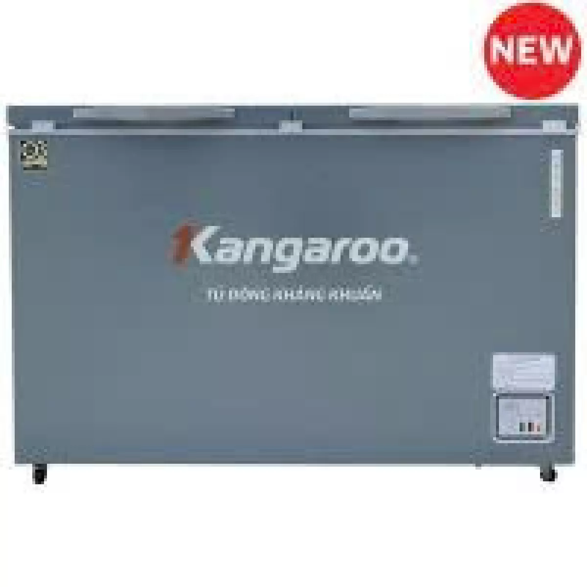 Tủ đông kháng khuẩn 327 lít KGFZ389NK2