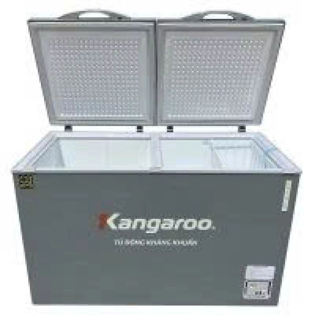 Tủ đông kháng khuẩn 327 lít KGFZ389NK2