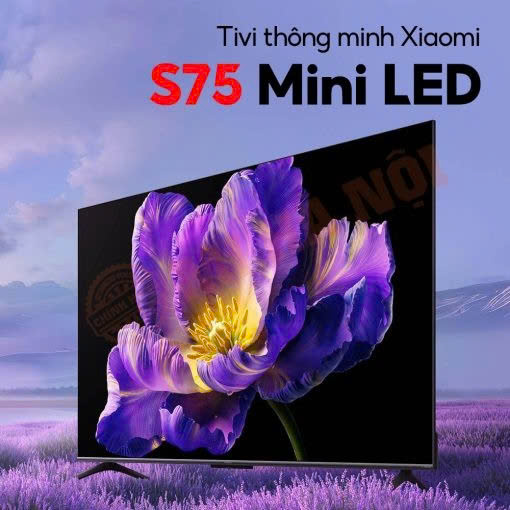 Tivi Xiaomi S75 Mini LED 75 inch- màn hình 4K, 4G/64G/240Hz/MEMC