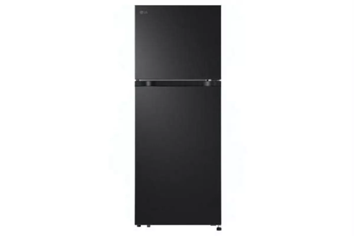 Tủ lạnh LG Inverter 217 lít LTB21BLMI