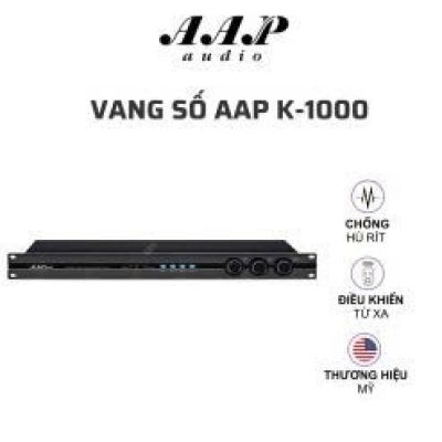 Vang số AAP K1000