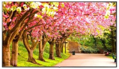 Màn Hình Chuyên Dụng LG 49-Inch 4K UHD 360nit (49UT640S)