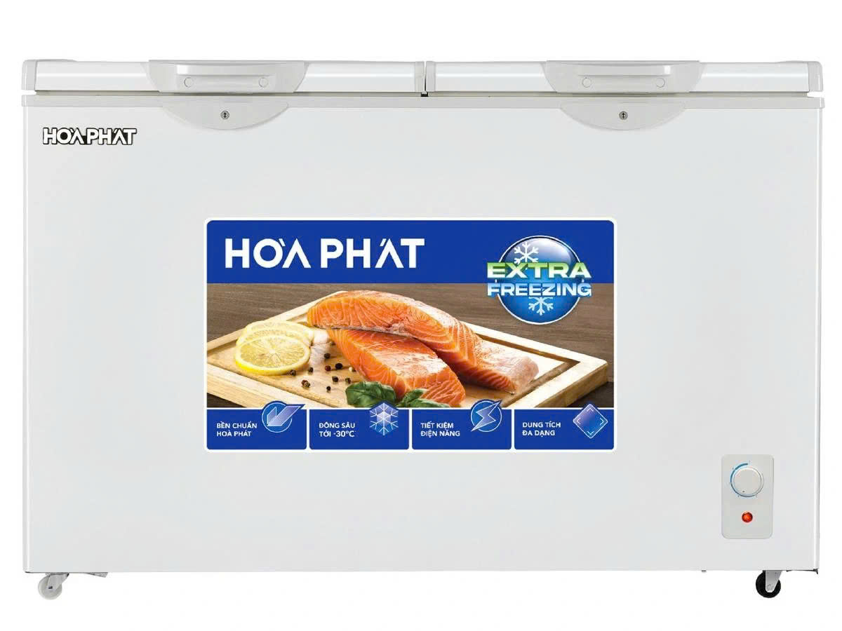 Tủ đông Hòa Phát HPF BD6330 - 330 lít