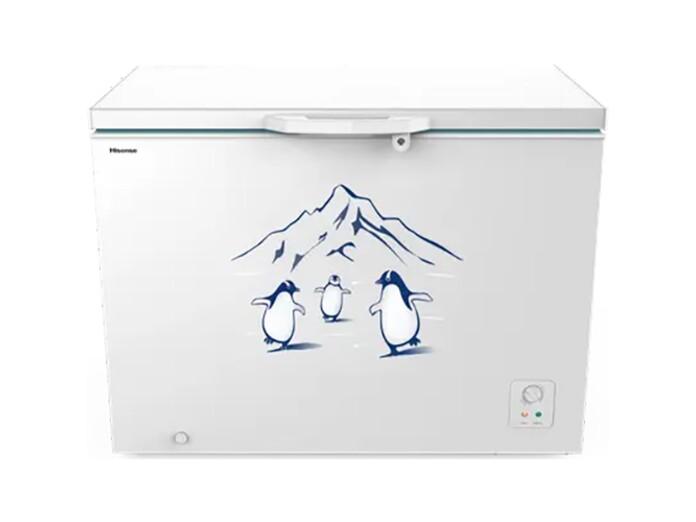Tủ đông Hisense Inverter 300 lít FC380D4EWC1