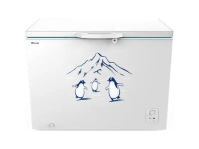 Tủ đông Hisense Inverter 300 lít FC380D4EWC1