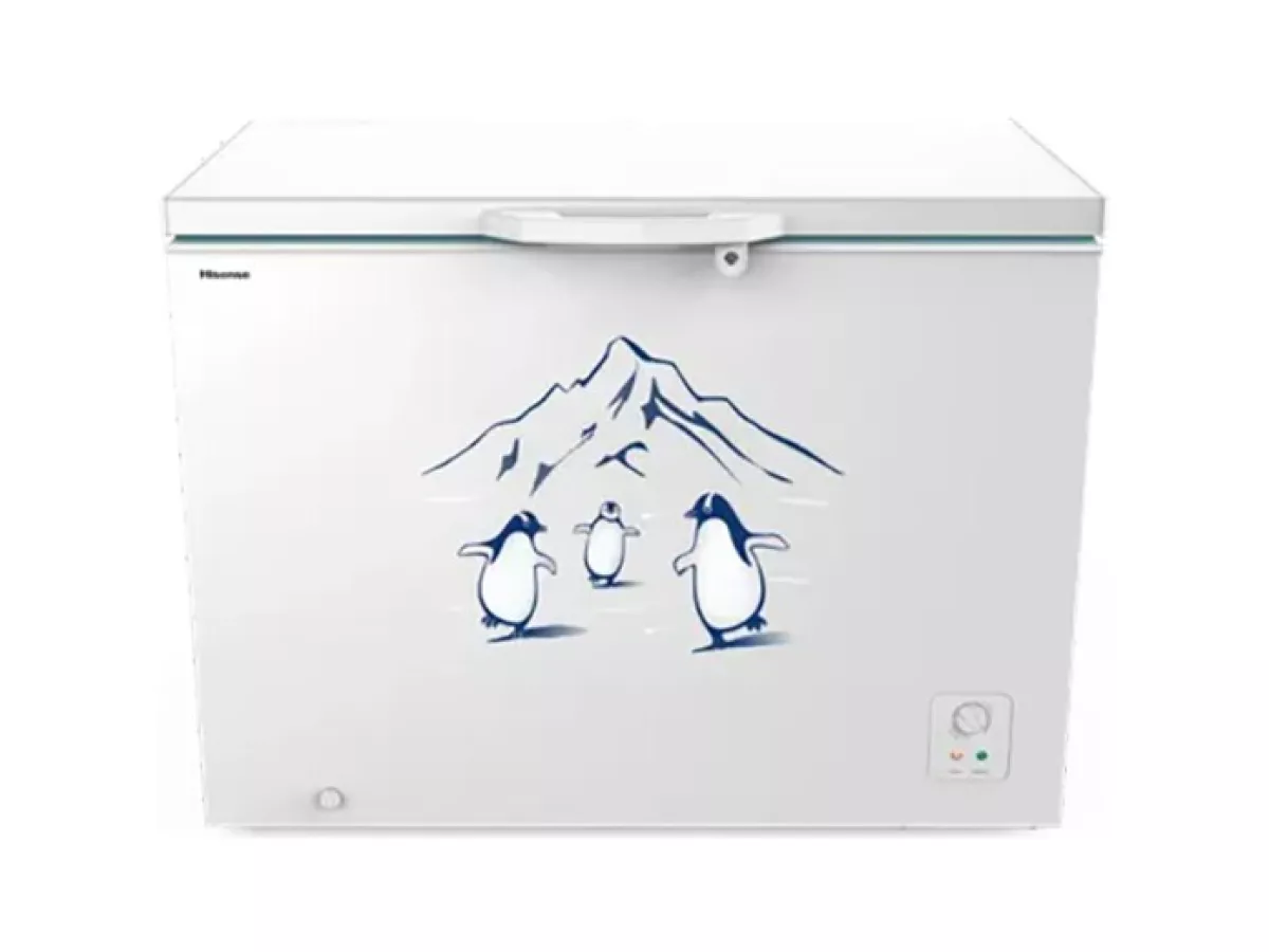 Tủ đông Hisense Inverter 300 lít FC380D4EWC1