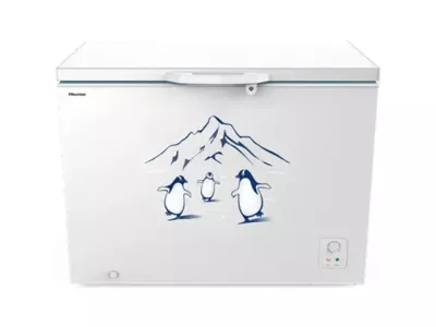 Tủ đông Hisense Inverter 300 lít FC380D4EWC1