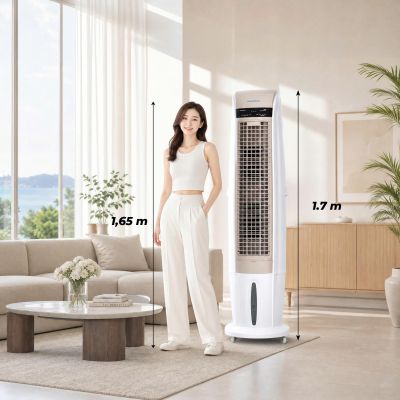 Quạt điều hòa Daikiosan DM106