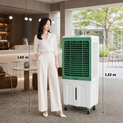 Quạt điều hòa Daikiosan DM201
