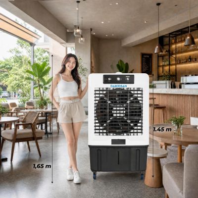 Quạt điều hòa Daikiosan DM205