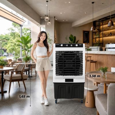 Quạt điều hòa Daikiosan DM203
