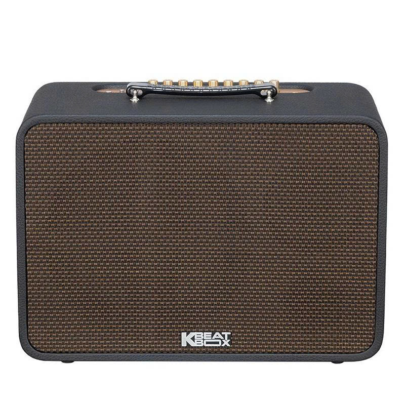 Loa xách tay CS250PRO 400W Bass25