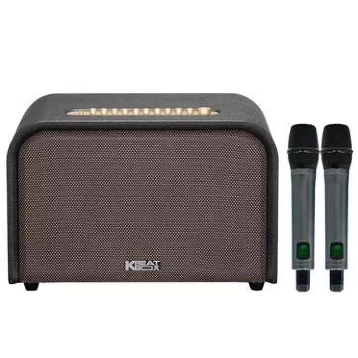 Loa Karaoke Di Động Acnos Acoustic 3 Compact