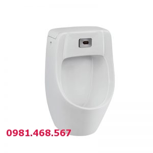 Tiểu nam treo tường Kangaroo KG6401