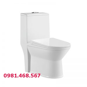 Bàn cầu 1 khối Kangaroo KG6108