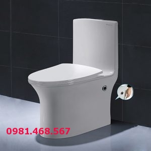 Bàn cầu 1 khối Kangaroo KG6106
