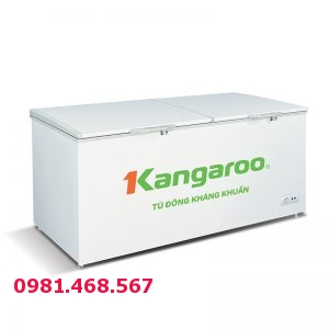 Tủ đông kháng khuẩn Kangaroo KG1009C1