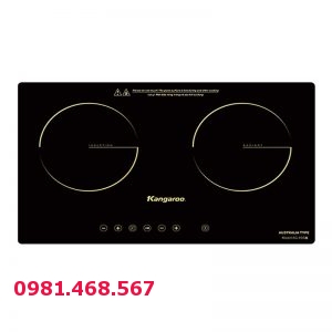 Bếp đôi Điện từ Hồng ngoại KG499i