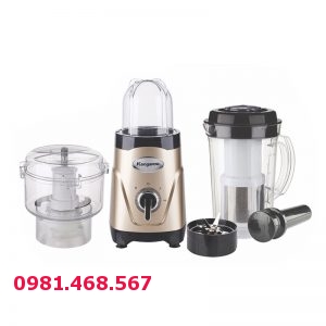 Máy say sinh tố đa năng Kangaroo KG3B6M