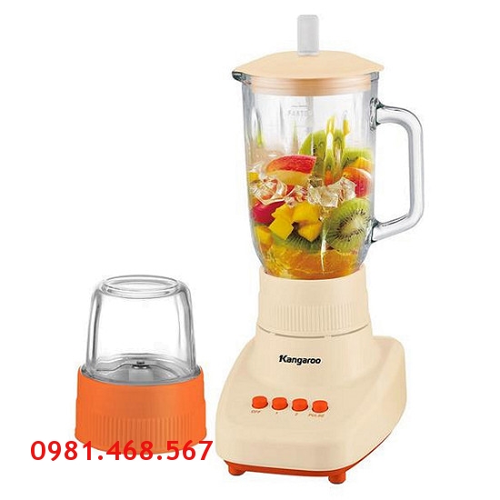 Máy xay sinh tố kangaroo KG305