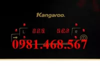 Bếp Điện Từ Đôi Cao Cấp Kangaroo KG438i