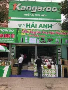 QUÁ TRÌNH HÌNH THÀNH VÀ PHÁT TRIỂN CỦA CTY HẢI ANH- 3 NĂM