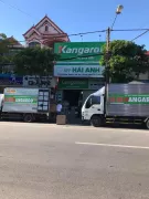 QUÁ TRÌNH HÌNH THÀNH VÀ PHÁT TRIỂN CÔNG TY HẢI ANH