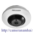 Camera Hikvision DS-2CD2942F-IWS