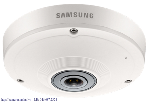 Camera IP Dome SAMSUNG SNF-8010P