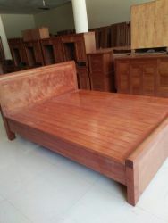 Giường quế 1m6x2m
