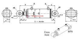 XILANH THỦY LỰC MP8