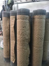 321bdad7e7f404aa5de5