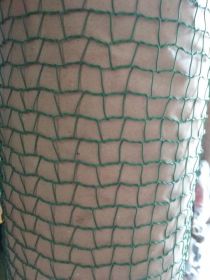 d69dcf046d278e79d736