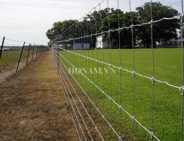 may dan luoi hang rao dong co 3_result