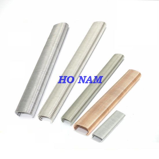 Đinh C - Đinh Hog Ring