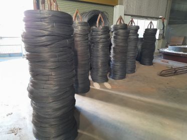 395167479_867644228078811_463585388572108866_n