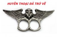 TAY ĐẤM ĐẠI BÀNG MỸ GIÁ RẺ NHẤT