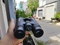 Ống nhòm Panda 8x42 cao cấp