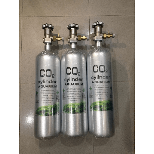 bình co2 thủy sinh