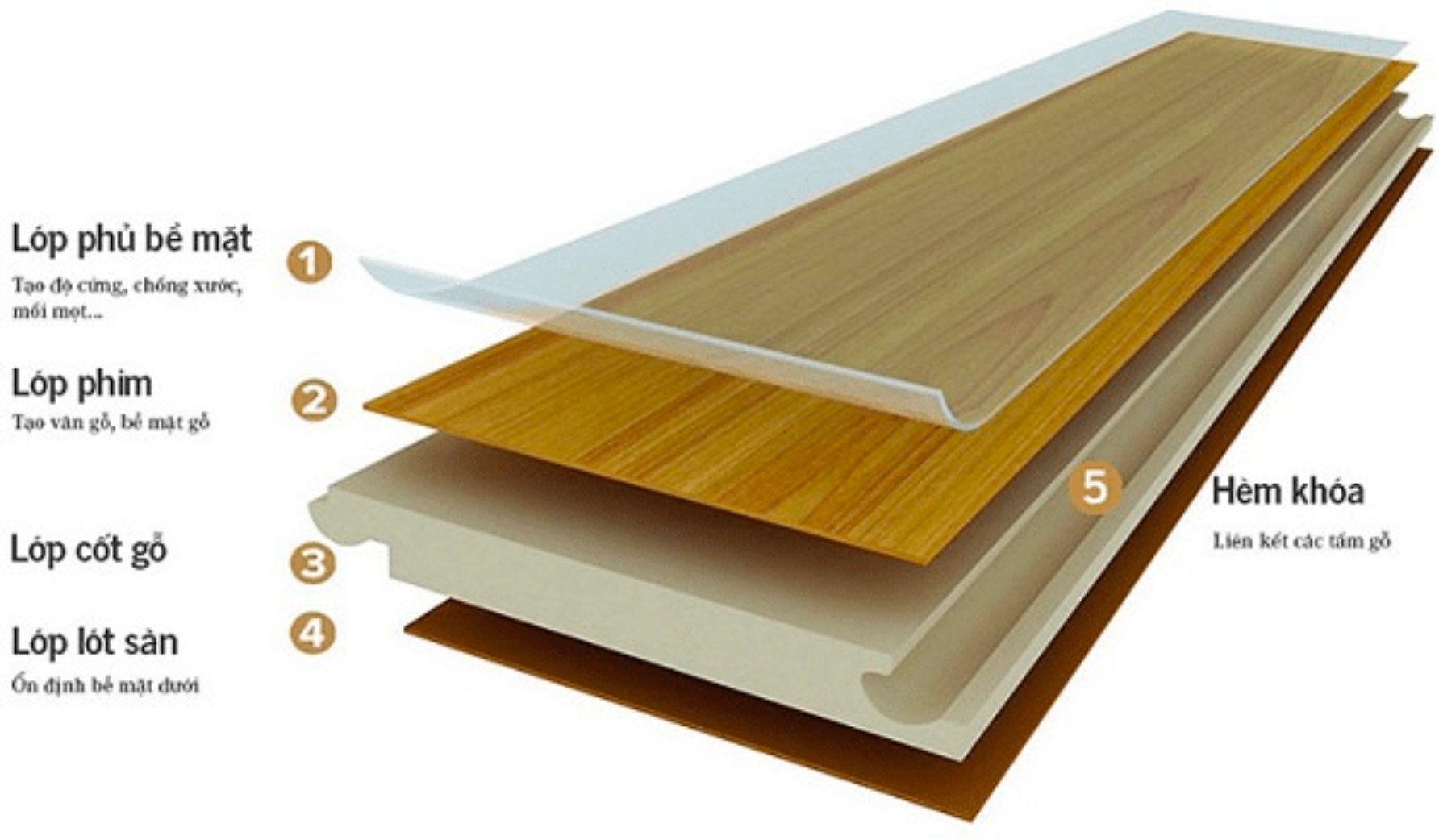 TÌM HIỂU CHẤT LƯỢNG LỚP CỐT GỖ CỦA SÀN GỖ NHẬP KHẨU