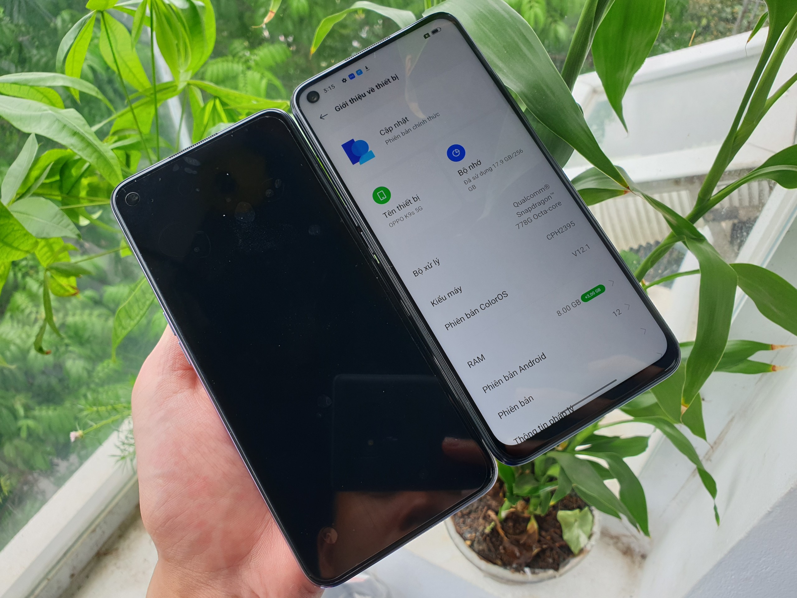 z5647773178133_5485dba1383cfa8a0688c00ec173bfef