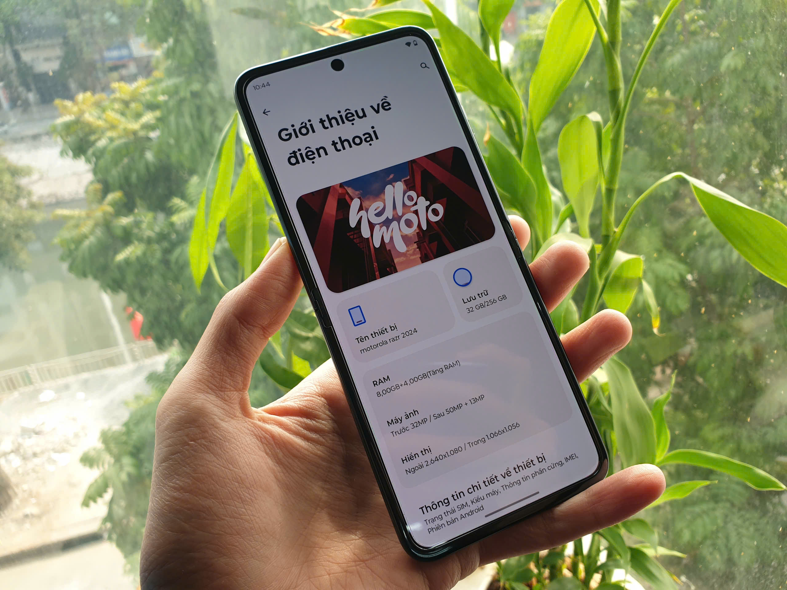 z6160739224198_d09e655899c84d566cd7e25806460c2c