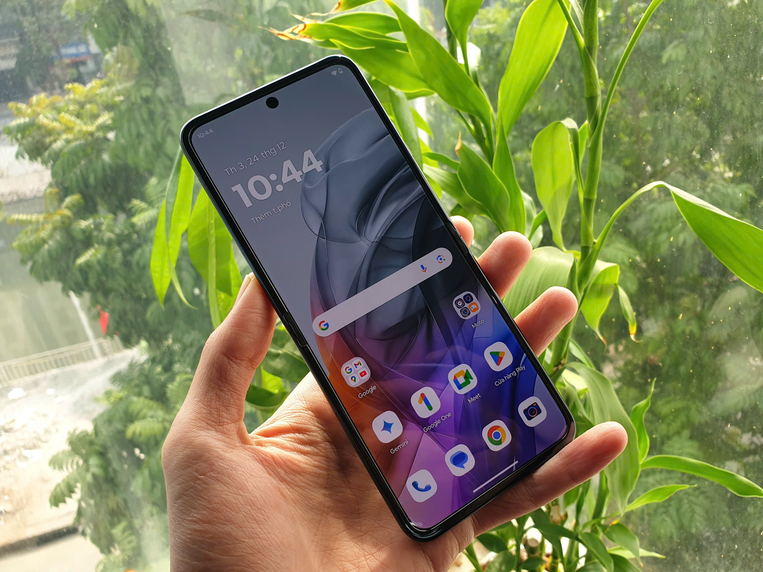 z6160739226613_ffe24cbc258fb22e0ed33ea53593ee59