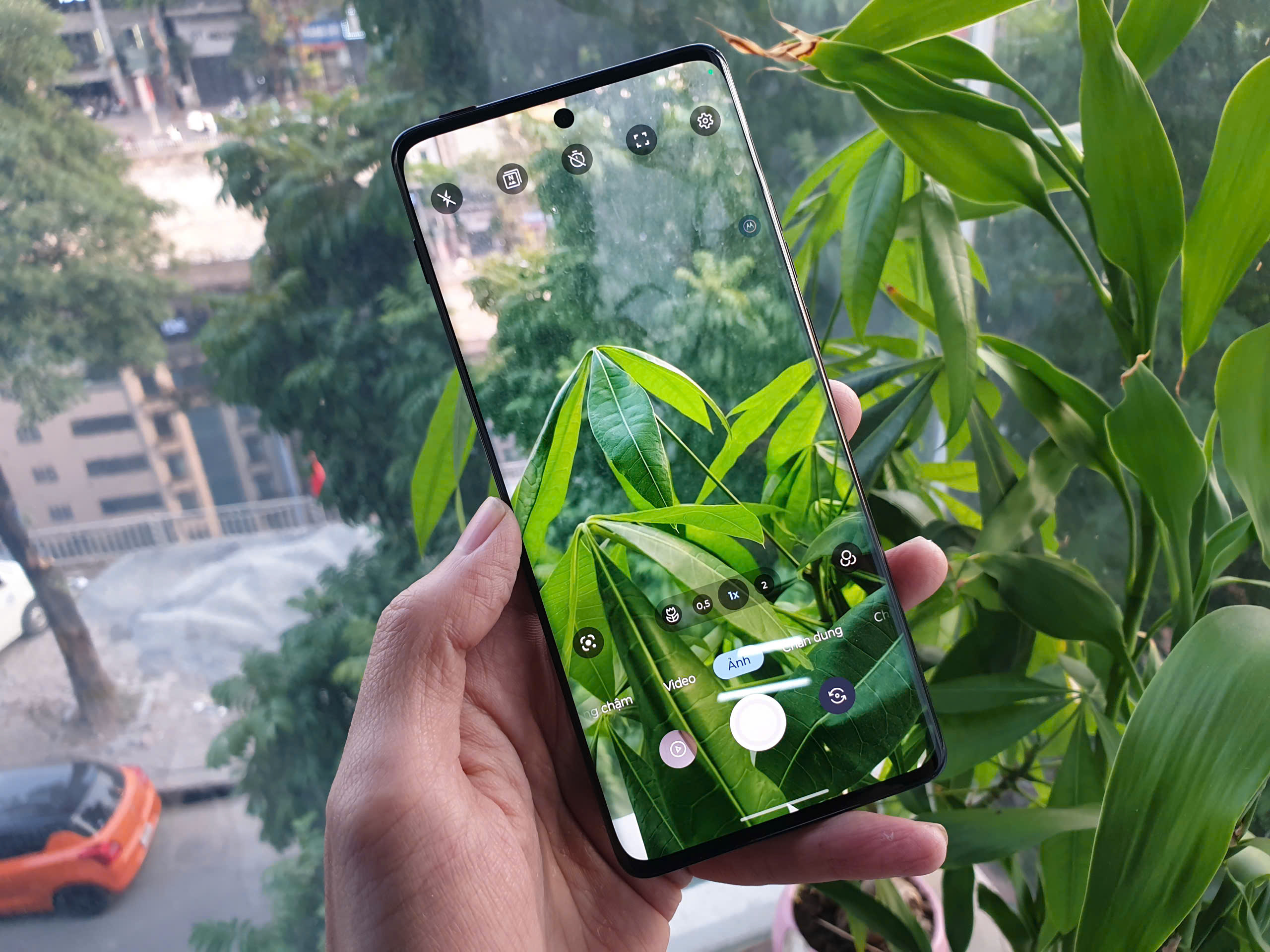 z6136494176712_6f9f24b0ca45ca516b291982a61038ba