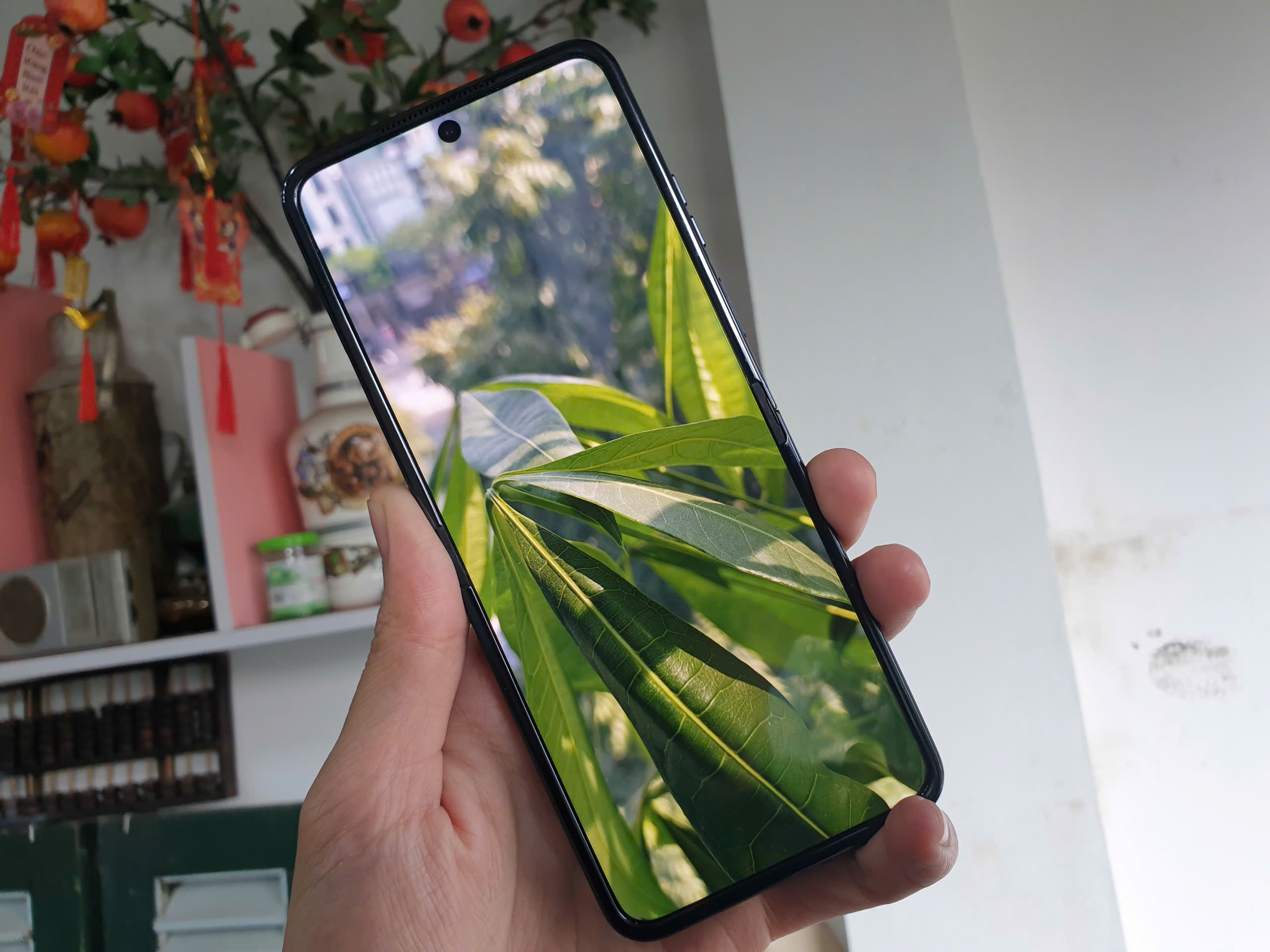 z6234098154837_753b1160ffbf2193f66c749b38b51cdf