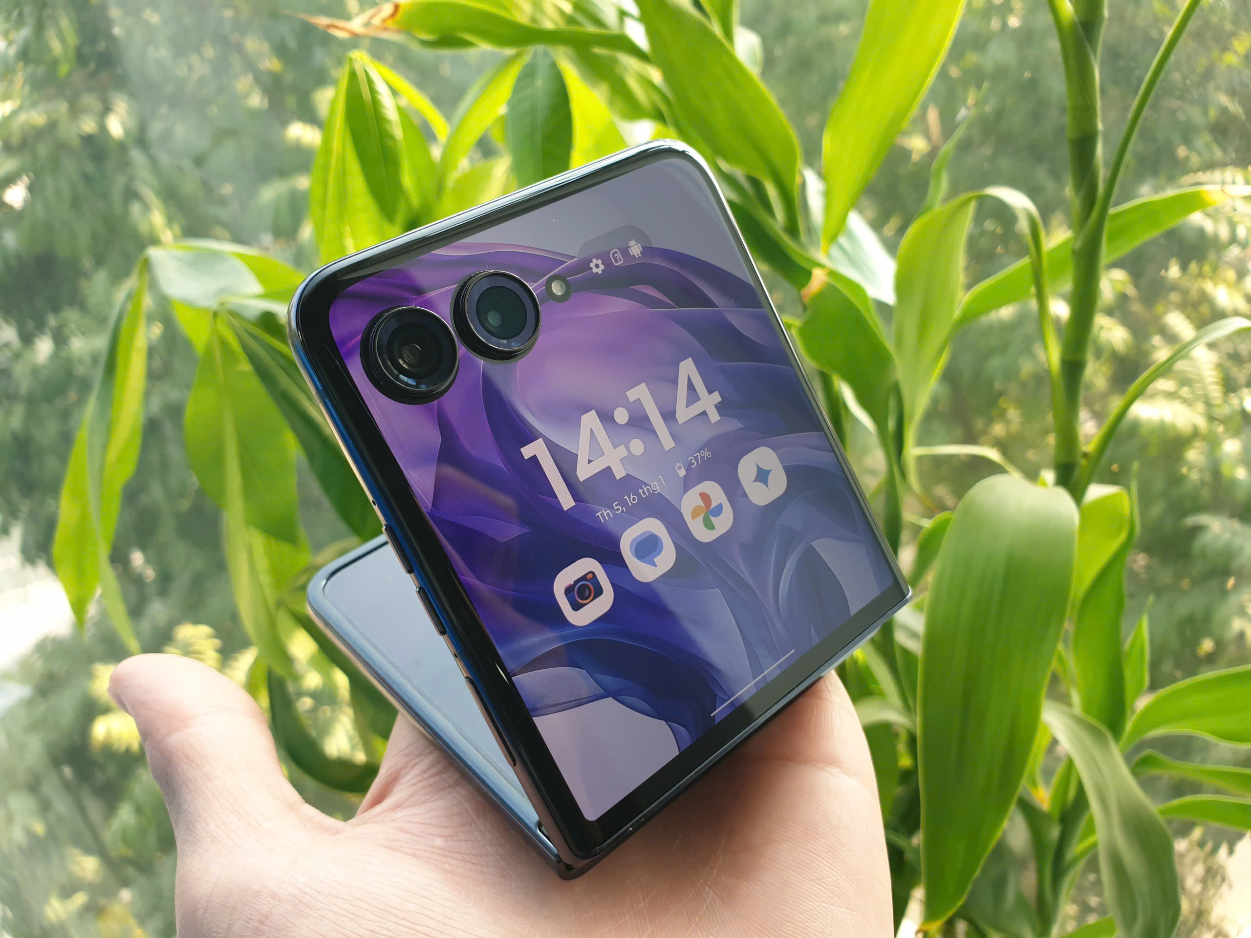 z6234098154842_fed30fff0daaa44170c1cde049247044