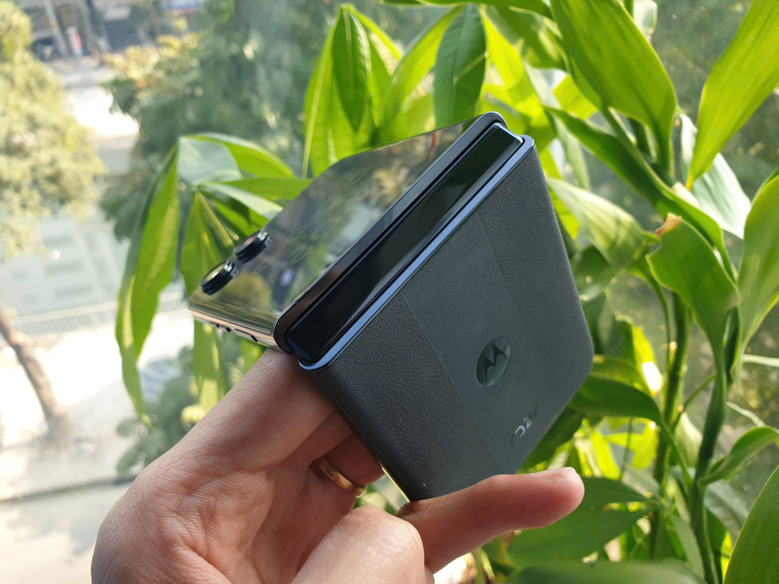 z6234098170423_08dcd66be6c573fd077a70394ac3aee8