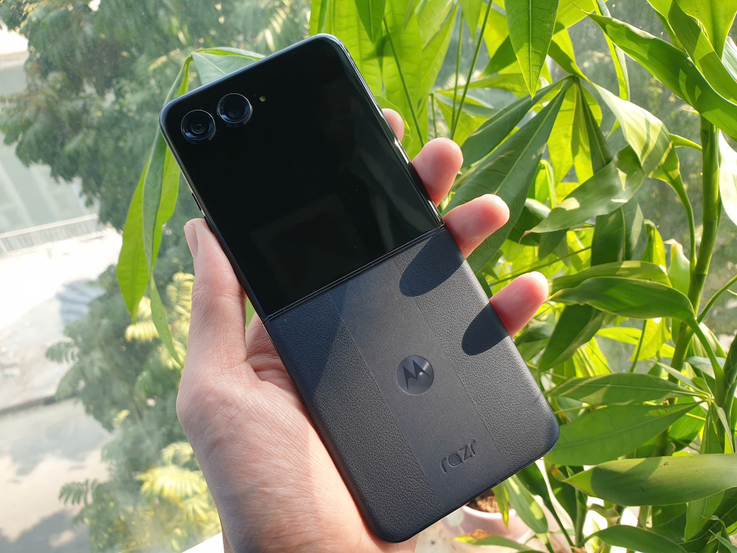 z6234098196056_cfd85403bda4111f8a82753e30ee437e