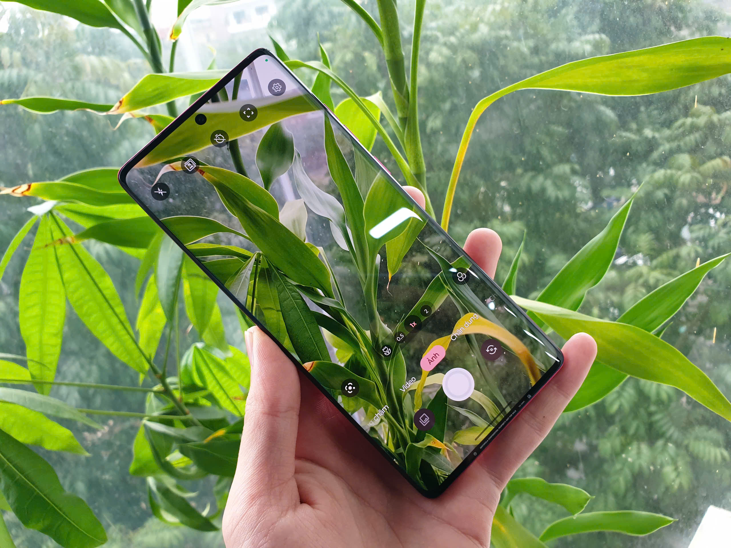 z6402979394407_3715ea6ae82f8b3127159dcb2ebe5194