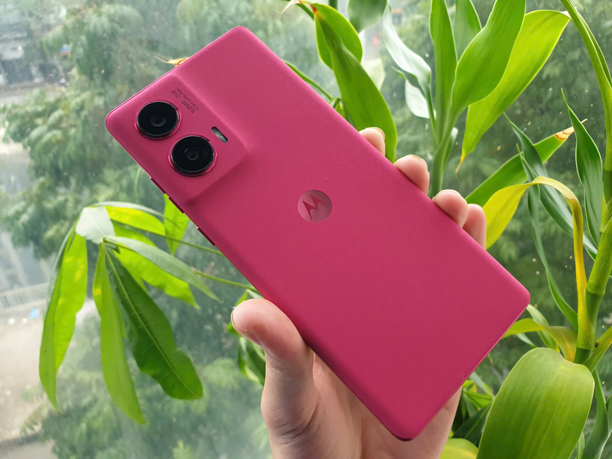 z6402979419809_c6c5d2f87e63d7c0ebb1b5d91ee83b0a